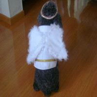disfraz-de-angel-para-perros (2)